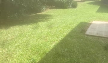 1 Camp Hill Pa Lawn Care Service Lawn Mowing From 19 Best 2020