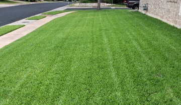 1 Charleroi Pa Lawn Care Service Lawn Mowing From 19 Best 2020