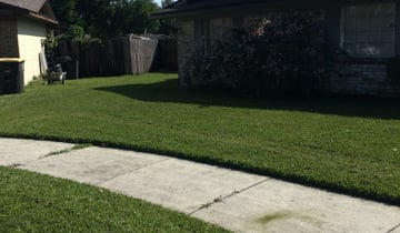 1 Chattanooga Tn Lawn Care Service Lawn Mowing From 19 Best 2020