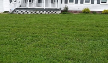 Chesapeake Va Lawn Care Service Lawn Mowing From 19 Rated Best 2020