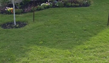 Cibolo Tx Lawn Care Service Lawn Mowing From 19 Rated Best 2020