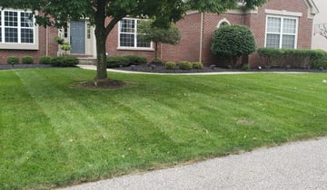 1 Cincinnati Oh Lawn Care Service Lawn Mowing From 19 Best 2020