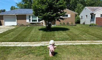 Clearwater Fl Lawn Care Service Lawn Mowing From 19 Rated Best 2020