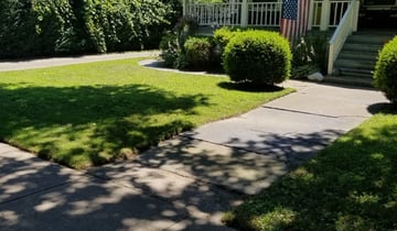 1 Cleveland Oh Lawn Care Service Lawn Mowing From 19 Best 2020