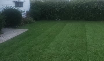 1 Cleveland Oh Lawn Care Service Lawn Mowing From 19 Best 2020