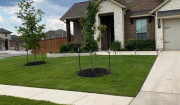 Collinsville Il Lawn Care Service Lawn Mowing From 19 Rated Best 2020