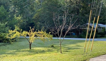 Columbia Sc Landscaping From 29 1 Landscapers Best Of 2020