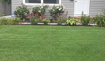 1 Columbus Oh Lawn Care Service Lawn Mowing From 19 Best 2020