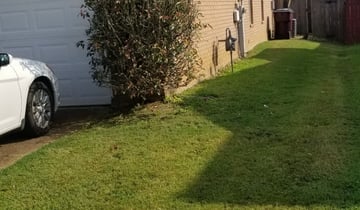 1 Cordova Tn Lawn Care Service Lawn Mowing From 19 Best 2020