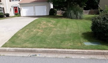 1 Cottage Grove Mn Lawn Care Service Lawn Mowing From 19 Best 2020
