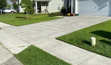 1 Daytona Beach Fl Lawn Care Service Lawn Mowing From 19 Best 2020