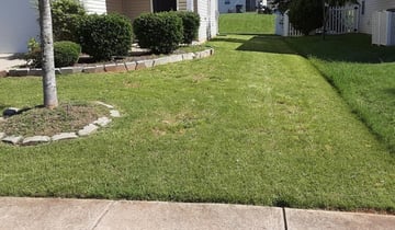 1 Del Valle Tx Lawn Care Service Lawn Mowing From 19 Best 2020