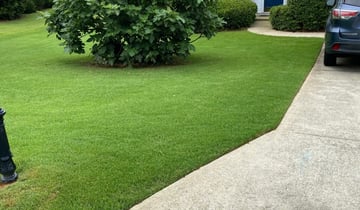 Duluth Ga Lawn Care Service Lawn Mowing From 19 Rated Best 2020