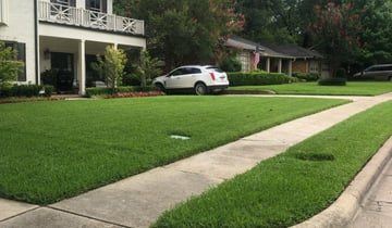 1 Easley Sc Lawn Care Service Lawn Mowing From 19 Best 2020
