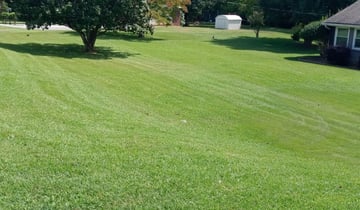 Edmonds Wa Lawn Care Service Lawn Mowing From 19 Rated Best 2020