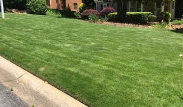 Eustis Fl Lawn Care Service Lawn Mowing From 19 Rated Best 2020