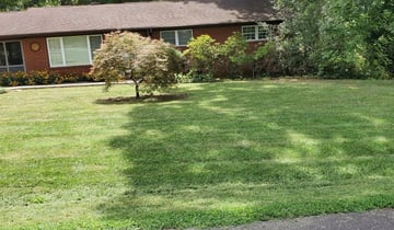 1 Evergreen Co Lawn Care Service Lawn Mowing From 19 Best 2020