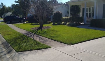 Fayetteville Ga Lawn Care Service Lawn Mowing From 19 Rated Best 2020