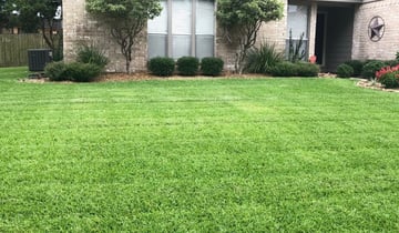 A Little Lawn Repair Plugging Over The Weekend Madeinusa Proplugger Lawnrepair Zoysia Zoysiagrass Lawn Grass T Lawn Repair Zoysia Grass Lawn