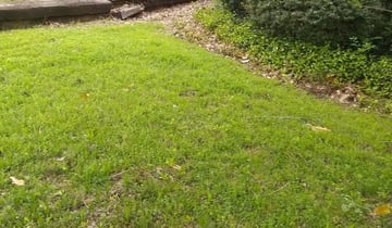 7 Best Lawn Care Services in Freeport, TX 2020 | Lawn Mowing