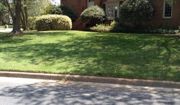 1 Gainesville Va Lawn Care Service Lawn Mowing From 19 Best 2020