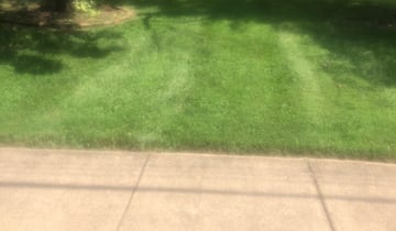 1 Gibsonia Pa Lawn Care Service Lawn Mowing From 19 Best 2020