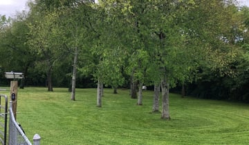 Gilbert, AZ Landscaping from $29 | #1 Landscapers | Best ...