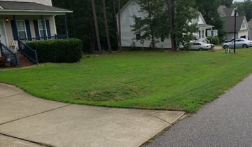 1 Grand Rapids Mi Lawn Care Service Lawn Mowing From 19 Best 2020