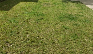 1 Henderson Nc Lawn Care Service Lawn Mowing From 19 Best 2020