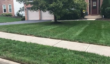 1 Herndon Va Lawn Care Service Lawn Mowing From 19 Best 2020