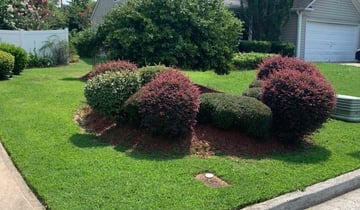 1 Indianapolis In Lawn Care Service Lawn Mowing From 19 Best 2020