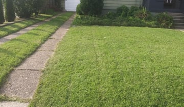 1 Kingwood Tx Lawn Care Service Lawn Mowing From 19 Best 2020