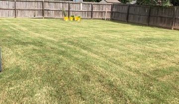 Kissimmee Fl Landscaping From 29 1 Landscapers Best Of 2020