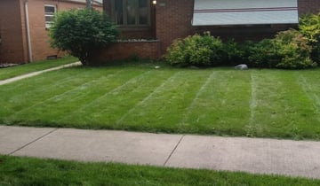 Knoxville Tn Landscaping From 29 1 Landscapers Best Of 2020