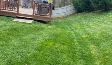 Knoxville, TN Lawn Care Service | Lawn Mowing from $19 ...