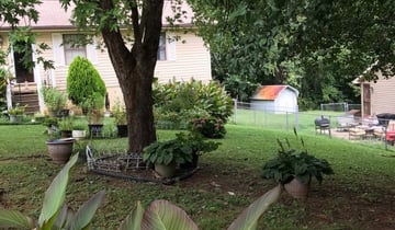 Knoxville Tn Lawn Care Service Lawn Mowing From 19 Rated Best 2020
