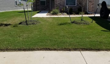 Lake Mary, FL Lawn Care Service | Lawn Mowing from $19 | Rated Best 2020