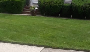 1 Laurel Md Lawn Care Service Lawn Mowing From 19 Best 2020