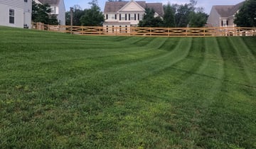 1 Leesburg Va Lawn Care Service Lawn Mowing From 19 Best 2020