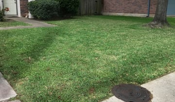Lincoln Park Mi Lawn Care Service Lawn Mowing From 19 Rated Best 2020