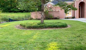 Lithonia Ga Lawn Care Service Lawn Mowing From 19 Rated Best 2020
