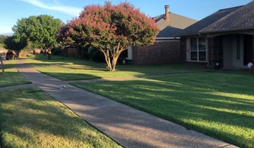 1 Lutherville Timonium Md Lawn Care Service Lawn Mowing From 19 Best 2020