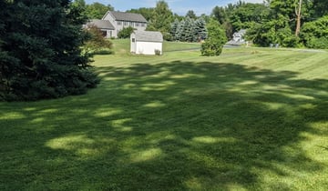 Madison Heights Mi Lawn Care Service Lawn Mowing From 19 Rated Best 2020