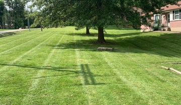 1 Maineville Oh Lawn Care Service Lawn Mowing From 19 Best 2020