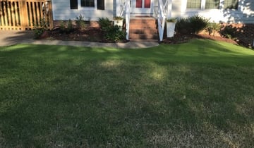 1 Mechanicsville Va Lawn Care Service Lawn Mowing From 19 Best 2020