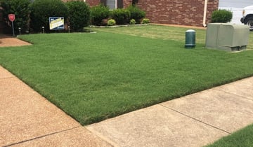 1 Memphis Tn Lawn Care Service Lawn Mowing From 19 Best 2020
