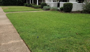 1 Memphis Tn Lawn Care Service Lawn Mowing From 19 Best 2020