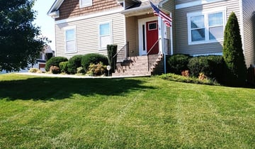 1 Midlothian Va Lawn Care Service Lawn Mowing From 19 Best 2020