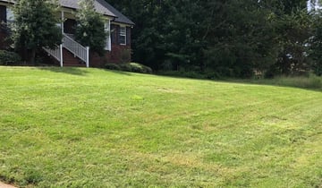 Newport Ri Lawn Care Service Lawn Mowing From 19 Rated Best 2020