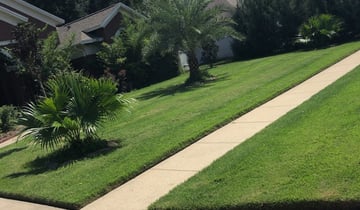 1 North Haven Ct Lawn Care Service Lawn Mowing From 19 Best 2020